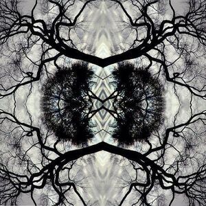 Adam Rudolph - Sonic Mandala Go: Organic Orchestra  LP LP